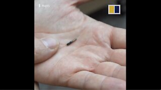 Sweden’s Covid Passport Microchip