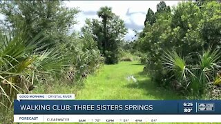 Walking Club: Exploring Three Sisters Springs in Crystal River by land