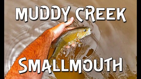 How to catch SMALLMOUTH in MUDDY creeks