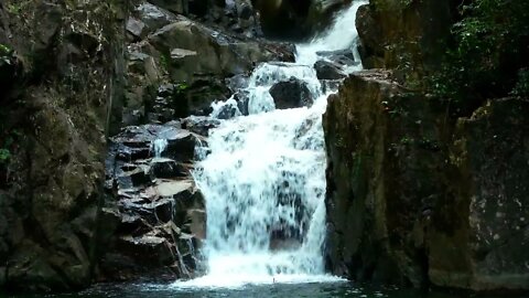 Psalm 12 Audiobook with Relaxing Waterfall (Treasury of David by Spurgeon)