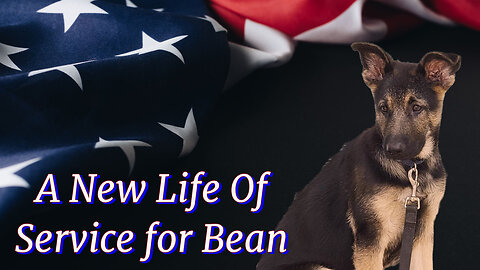 A New Life Of Service for Bean