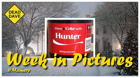 Pt2/4 Powerline's Week in Pictures: Cocaine Bear Edition #political