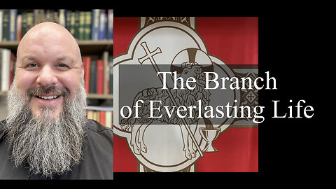 2023.07.09 – The Branch of Everlasting Life