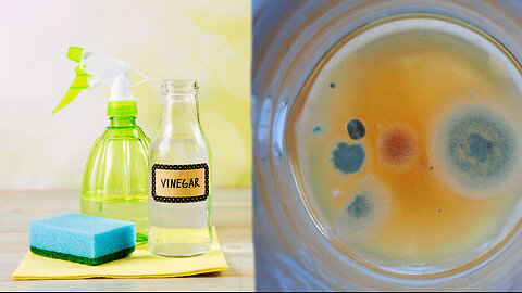 DANGER - Check Your Vinegar From Now On!