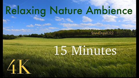 Relaxing Meadow Sounds: 15-Minute Nature Escape