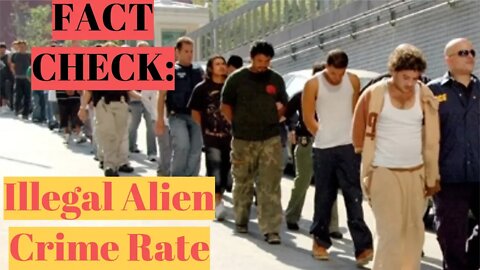 Fact Check: Do Illegal Aliens Commit More Crime?