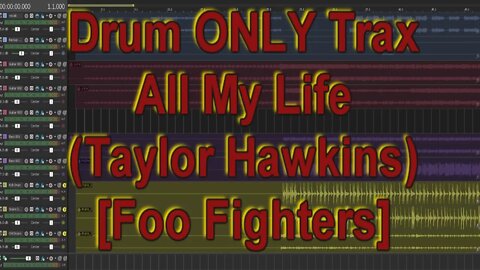 Drum ONLY Trax - All My Life (Taylor Hawkins)
