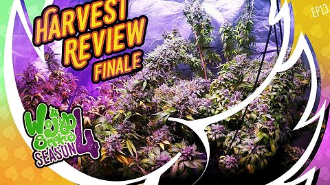 S4E14 Harvest Review Finale
