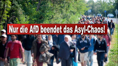 NUR DIE AFD BEENDET DAS ASYL-CHAOS!