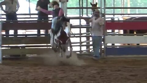 Riding Bareback Broncs in New Caney