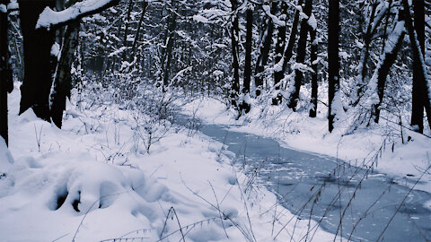 Winter in the Spreewald