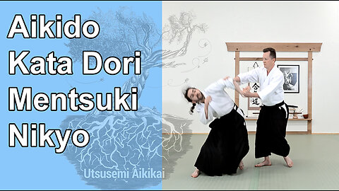 Aikido Kata Dori Mentsuki Nikyo