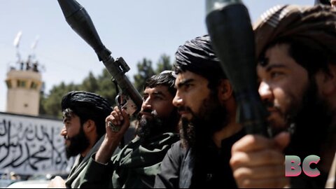 Al-Qaeda resurfaces in Afghanistan with new training camps, schools