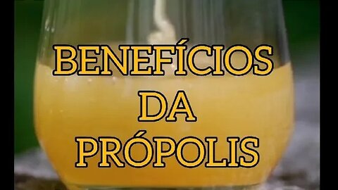 BENEFÍCIOS DA PRÓPOLIS 🤗 #própolis #shorts #dicasdalovezinha