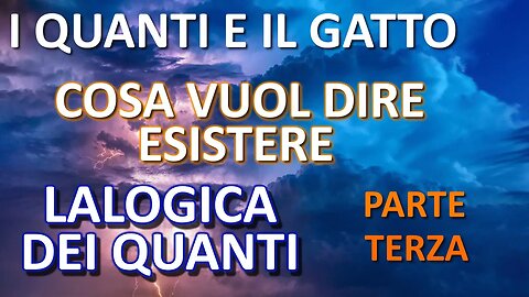 I quanti e il gatto: cosa vuol dire esistere? - LALOGICA dei quanti, parte terza