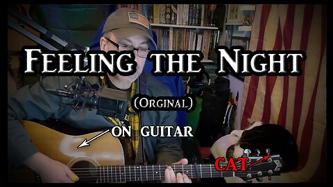 "Feeling the Night" on Guitar - Original (with my cat)