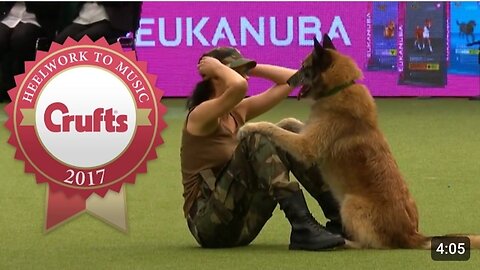 Amazing Dog Performs CPR, Squats and Press Ups in Heelwork To Music Routine | Crufts 2024