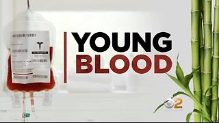 YOUNG BLOOD - Ambrosia company, they sell the blood of youth to the rich