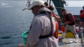 10 years later: Scientists learn long-term impact of Deepwater Horizon spill