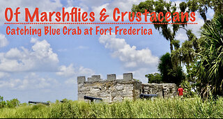 Catching Blue Crabs in the Shadow of Fort Frederica -- St. Simons, Georgia