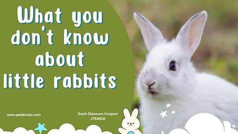 Baby rabbits tips | Raising rabbits properly #pets_birds #baby_rabbit #baby_rabbit_care