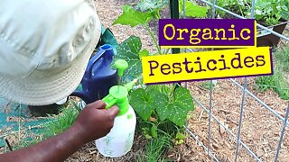 Organic Pesticides For Your Garden