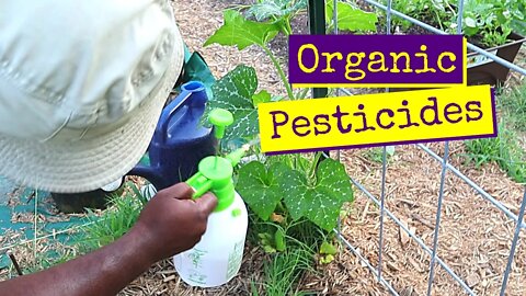 Organic Pesticides For Your Garden