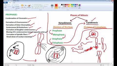 10th Bio compitation