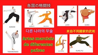 Artes marciais de diferentes países