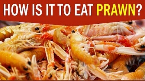 How Is It To Eat Prawn