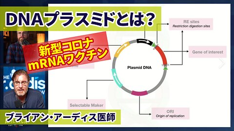 DNAプラスミドとは？新型コロナmRNAワクチン DNA汚染 ブライアン・アーディス医師 DNA Plasmids Dr. Bryan Ardis 2023/11/22