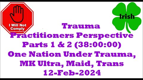 Trauma Practitioners Perspective Parts 1 & 2 One Nation Trauma, MK Ultra, Maid, Trans 12-Feb-2024