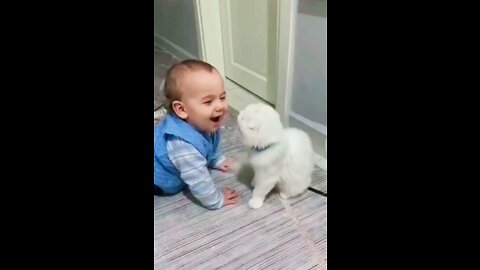 Cute Cat vs baby Funny videos 2022 #funny #cat #baby #viral #shorts