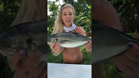 How To Fillet a Fish! TRASH FISH Taste Test for Dinner!