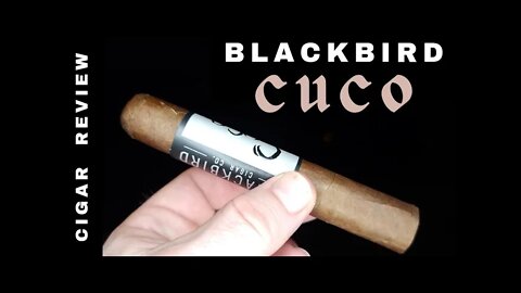 Blackbird Cuco Robusto Cigar Review