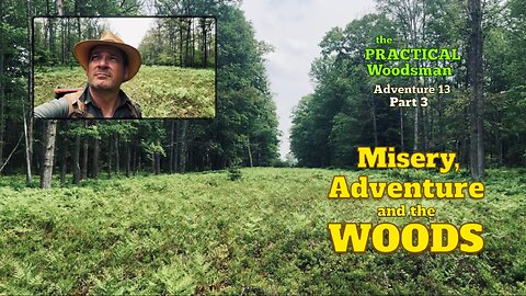 Adventure 13, Part 3: Misery, Adventure and the Woods