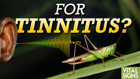 Two Very Different Tinnitus Treatments: Vitamin B12 and Crickets