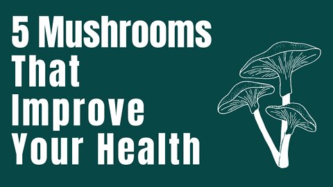 5 Mushrooms that Improve Your Health