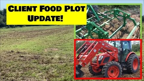 5 acre Fall Food Plot Update! Tractors & land management transformation