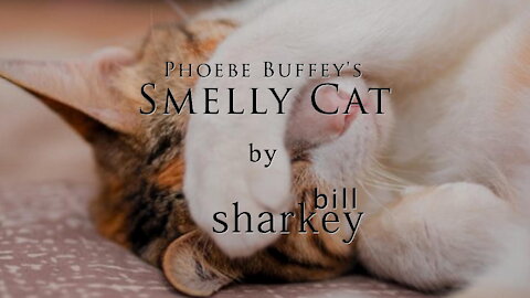 Smelly Cat - Phoebe Buffay (cover-live by Bill Sharkey)