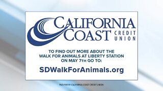 CCCU Supports the SD Humane Society's Walk for Animals