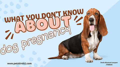 Pregnancy in dogs | Dog gestation period #pets_birds #dog_pregnancy #dog