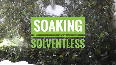 Washing Basics - Soaking Solventless
