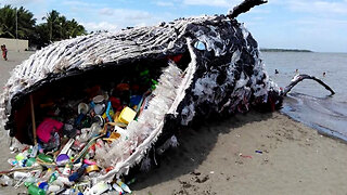 Plastic Whales Found On Beaches Across the Globe
