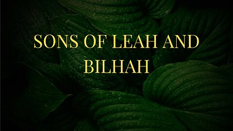 "Sibling Rivalry and Divine Intervention: The Sons of Leah and Bilhah"