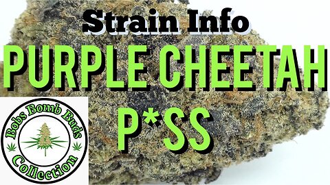 Purple Cheetah Piss, Cannabis Strain. Weed Review