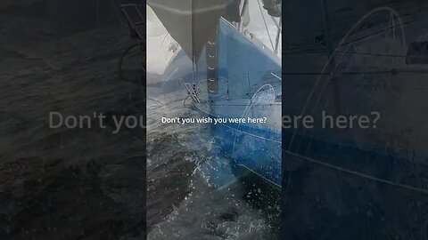You wish you were here 😉 #sailing