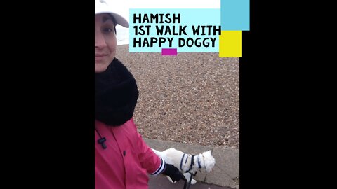 Hamish 1st Walk with Happy Doggy