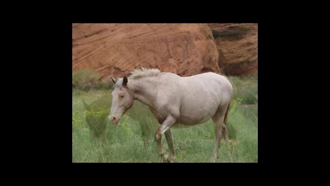 Through my Lens Discover the Anasazi Experience youtube