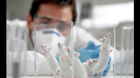 Researchers test Pfizer’s “Safe & Effective” potion on mice, find "Unexpected" results!